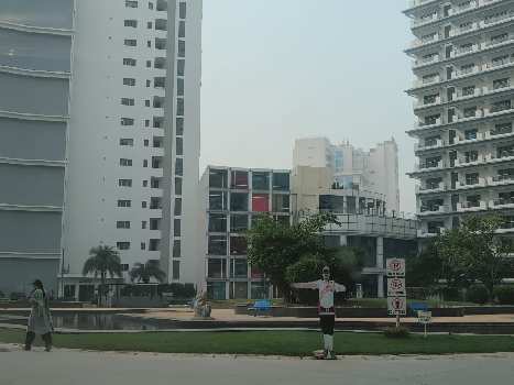 3 BHK Flats & Apartments for Sale in Sector 59, Gurgaon (2910 Sq.ft.)