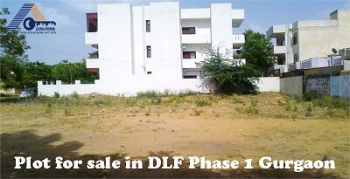 703 Sq Yd Old Kothi on 18 Mtr in DLF Phase 1