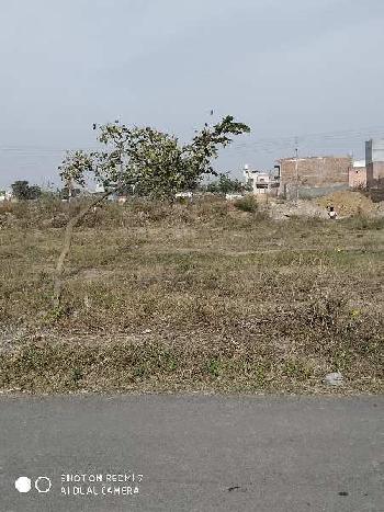 Residential Plot for Sale in Sector 13, Bahadurgarh (150 Sq. Yards)