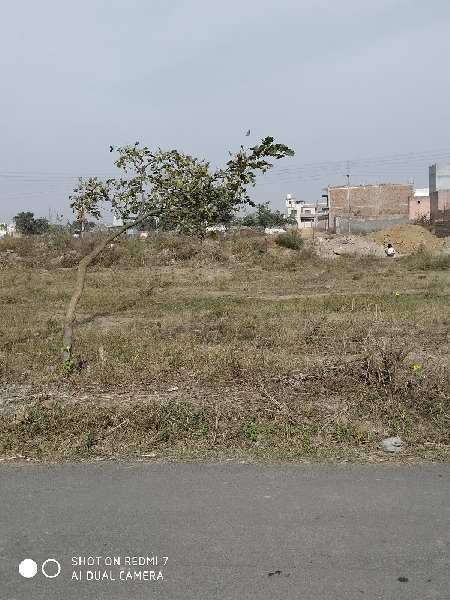 Residential Plot for Sale in Sector 2, Bahadurgarh (374 Sq. Yards)