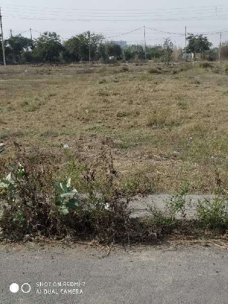 Residential Plot for Sale in Sector 10, Bahadurgarh (535 Sq. Yards)