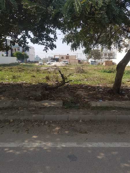 502 Sq. Yards Residential Plot for Sale in Sector 2, Bahadurgarh