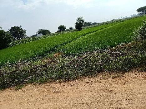 3 Acre Agricultural/Farm Land for Sale in Tukkuguda, Hyderabad
