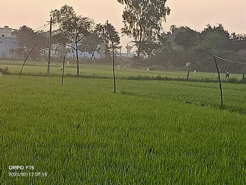 5 Acre Agricultural/Farm Land For Sale In Tukkuguda, Hyderabad (7 Acre)