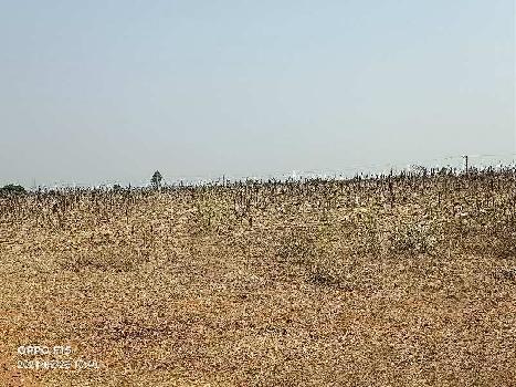 54 Acre Agricultural/Farm Land for Sale in Srisailam Highway, Hyderabad