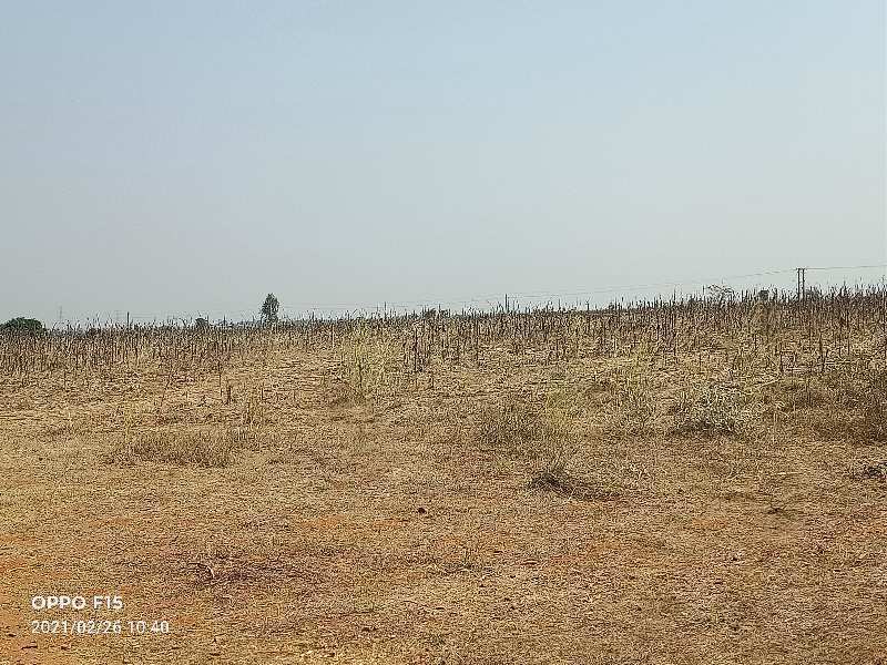 54 Acre Agricultural/Farm Land For Sale In Srisailam Highway, Hyderabad