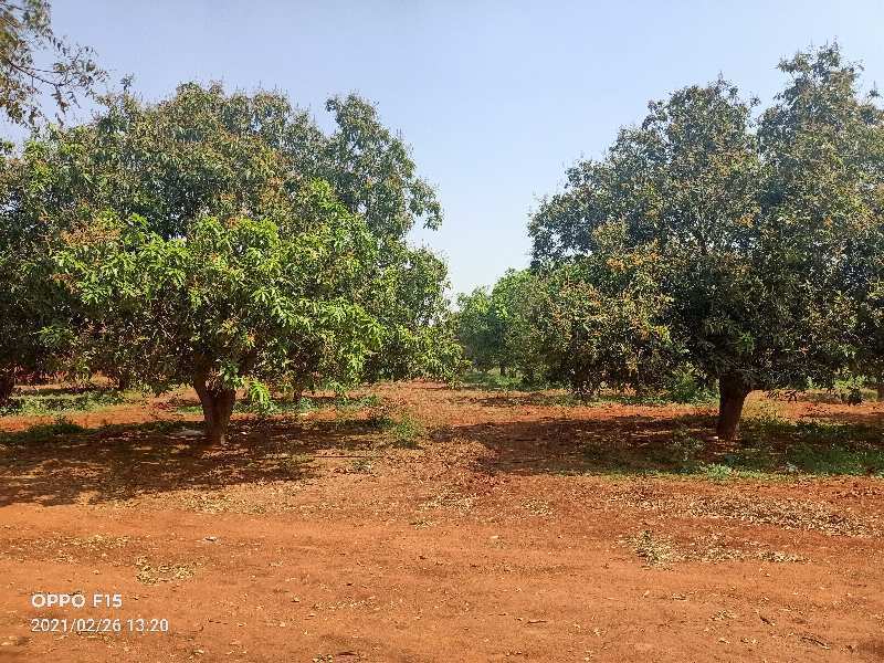 30 Acre Agricultural/Farm Land For Sale In Srisailam Highway, Hyderabad