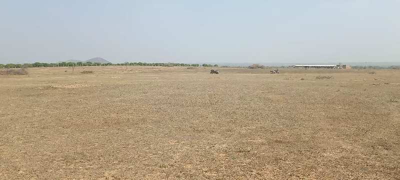 115 Acre Agricultural/Farm Land For Sale In Amangal, Hyderabad