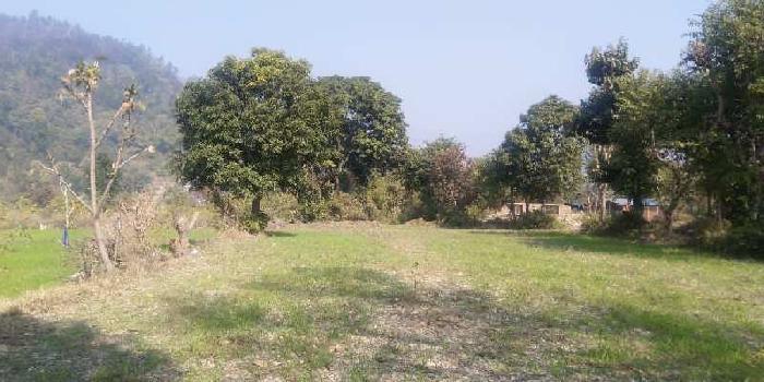 Agricultural/Farm Land for Sale in Thano, Dehradun (5 Bigha)