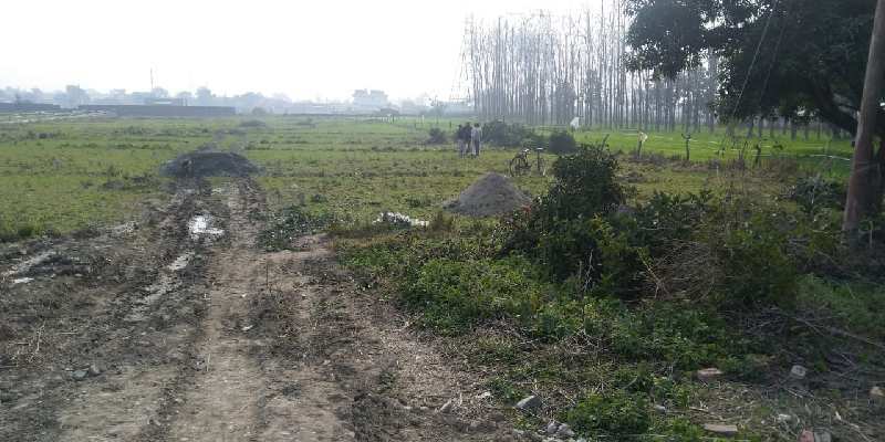 Commercial Lands /Inst. Land for Sale in Haridwar Road, Dehradun (800 Sq. Yards)