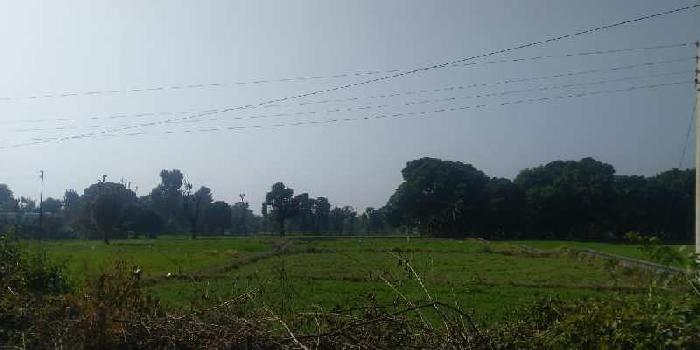 6 Bigha Agricultural/Farm Land for Sale in Thano, Dehradun