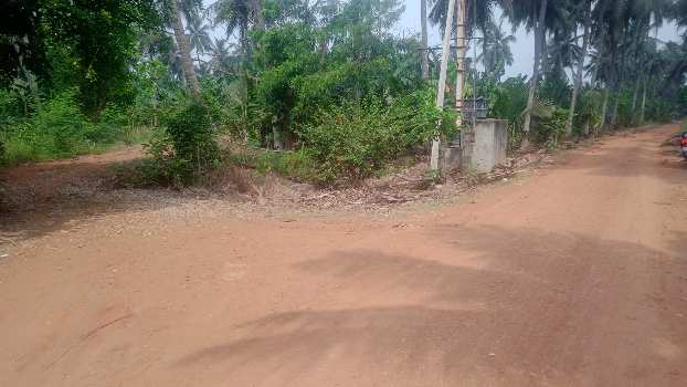 5.75 Acre Agricultural/Farm Land for Sale in Tanuku, West Godavari