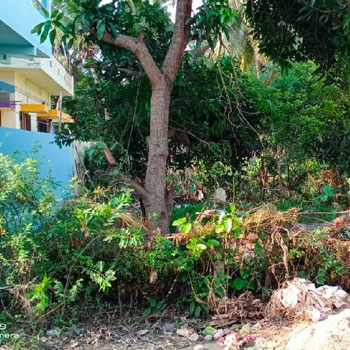 150 Sq. Yards Residential Plot for Sale in Teachers Colony, West Godavari