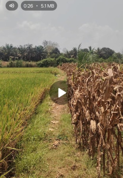 Farm House for Sale in FCI Colony, Tadepalligudem (2 Acre)