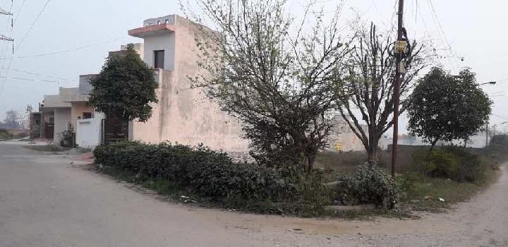 726 Sq.ft. Residential Plot for Sale in Venus Valley, Jalandhar