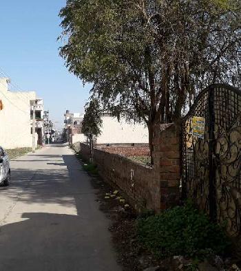 Best Location Land in Kalia  Colony