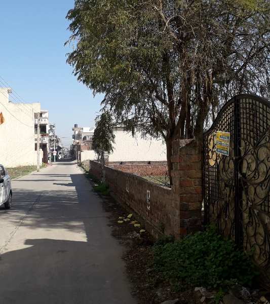 Best Location Land in Kalia  Colony