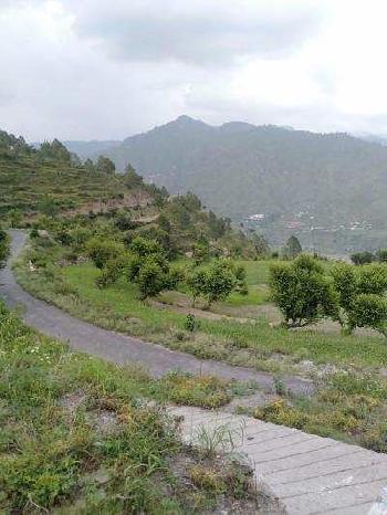 Land available on Neelkhand Road, Rishikesh, 143 Converted (Commercial Land for Hotel & Resort)