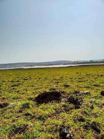 14000 Sq.ft. Agricultural/Farm Land for Sale in Mendora, Bhopal