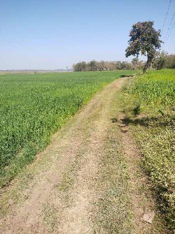 2.60 Acre Agricultural/Farm Land for Sale in Bilkisganj, Sehore