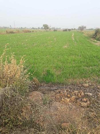 6 Acre Agricultural/Farm Land for Sale in Phanda, Bhopal