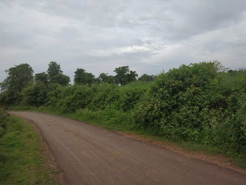 18 Acre Agricultural/Farm Land for Sale in Karera, Shivpuri