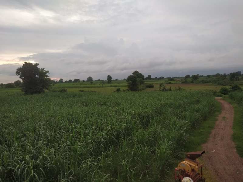 18 Acre Agricultural/Farm Land for Sale in Karera, Shivpuri