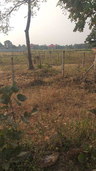 11000 Sq.ft. Agricultural/Farm Land for Sale in Ratibad, Bhopal