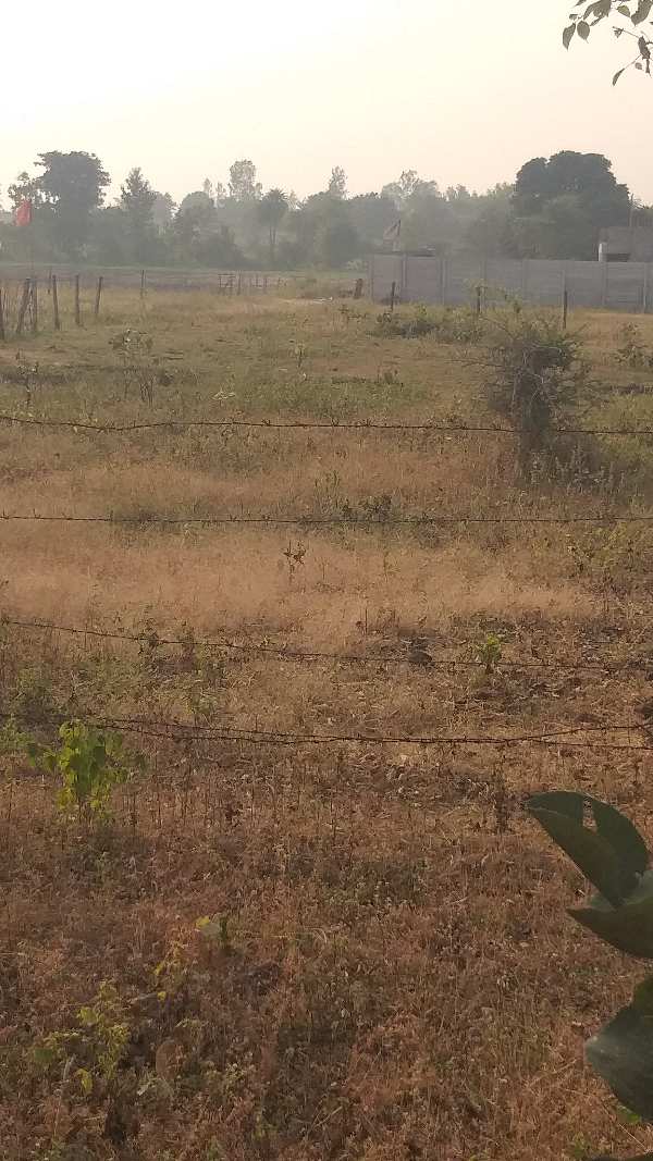 11000 Sq.ft. Agricultural/Farm Land for Sale in Ratibad, Bhopal