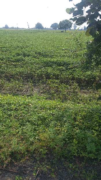 For sale agricultural land in Village muaada