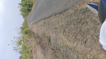 Agricultural/Farm Land for Sale in Bhaunri, Bhopal (22 Acre)