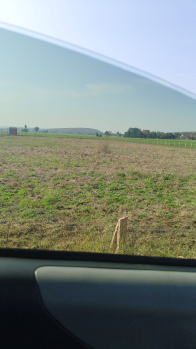 Agricultural/Farm Land for Sale in Bareli, Raisen (11 Acre)