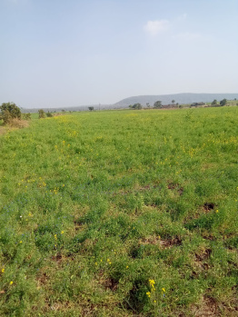 Agriculture, commercial property for sale