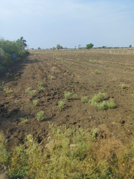 1 Acre Agricultural/Farm Land for Sale in Huzur, Bhopal