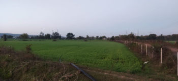 20 Acre Agricultural/Farm Land for Sale in Sultanpur, Raisen