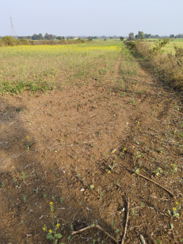 Agricultural/Farm Land for Sale in Bilkisganj, Sehore (4 Acre)
