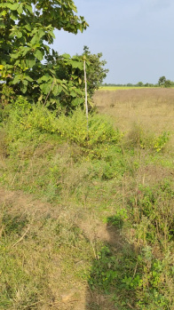 Residential Plot for Sale in Kolar Road, Bhopal (41382 Sq.ft.)