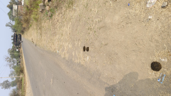 Agricultural/Farm Land for Sale in Obedullaganj, Raisen (3.65 Acre)