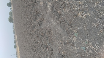 Agriculture property for sale in uljhawan village near bilkisganj