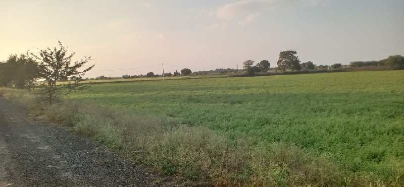24 Acre Agricultural/Farm Land for Sale in Gulabganj, Vidisha