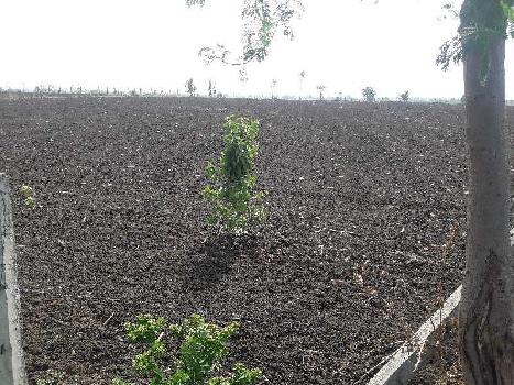 3 Acre Agricultural/Farm Land for Sale in Bilkisganj, Sehore