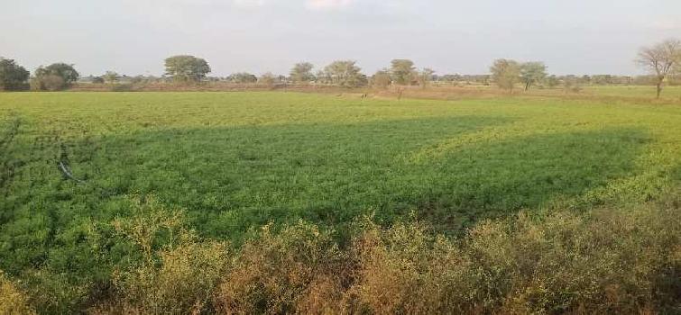 5 Acre Agricultural/Farm Land for Sale in Sehore Road, Bhopal