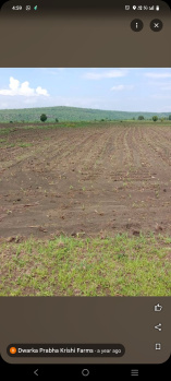 3.5 Acre Agricultural/Farm Land for Sale in Bhadbhada Road, Bhopal