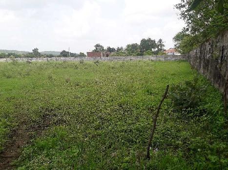 1 Acre Agricultural/Farm Land for Sale in Bhadbhada Road, Bhopal