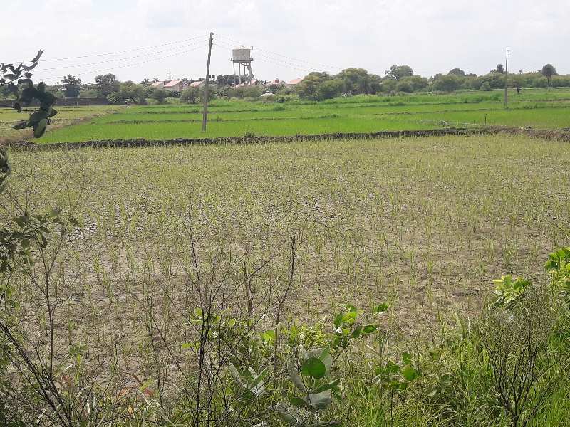 21000 Sq.ft. Commercial Lands /Inst. Land for Sale in Bypass Road, Bhopal