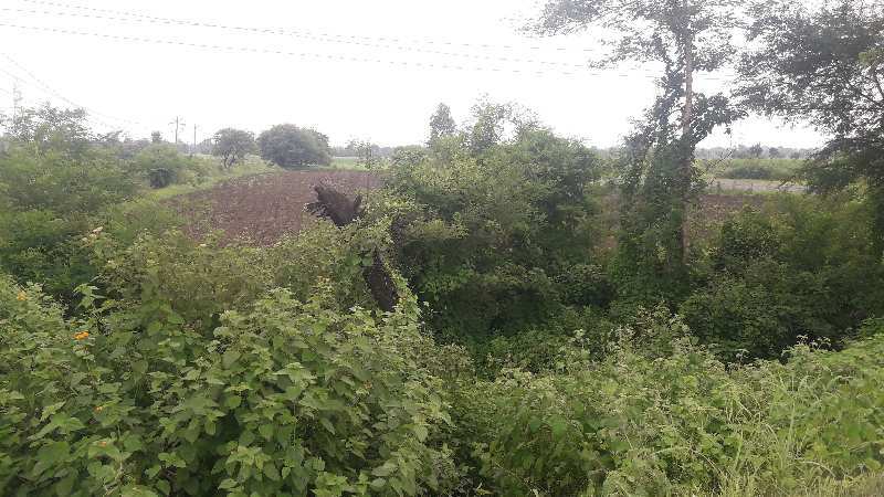 2 Acre Commercial Lands /Inst. Land for Sale in Phanda, Bhopal