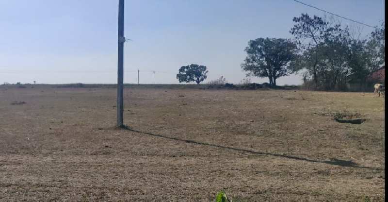 5 Acre Agricultural/Farm Land for Sale in Budhni, Sehore