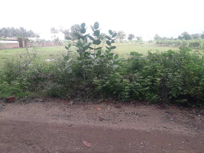 1 Acre Agricultural/Farm Land for Sale in Bhadbhada Road, Bhopal