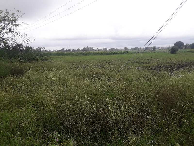 8 Acre Agricultural/Farm Land for Sale in Huzur, Bhopal (6 Acre)