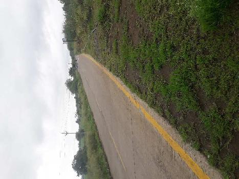 8 Acre Agricultural/Farm Land for Sale in Huzur, Bhopal